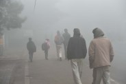 26 people died in uttar pradesh due to cold wave 