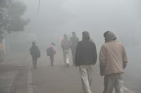26 people died in uttar pradesh due to cold wave 