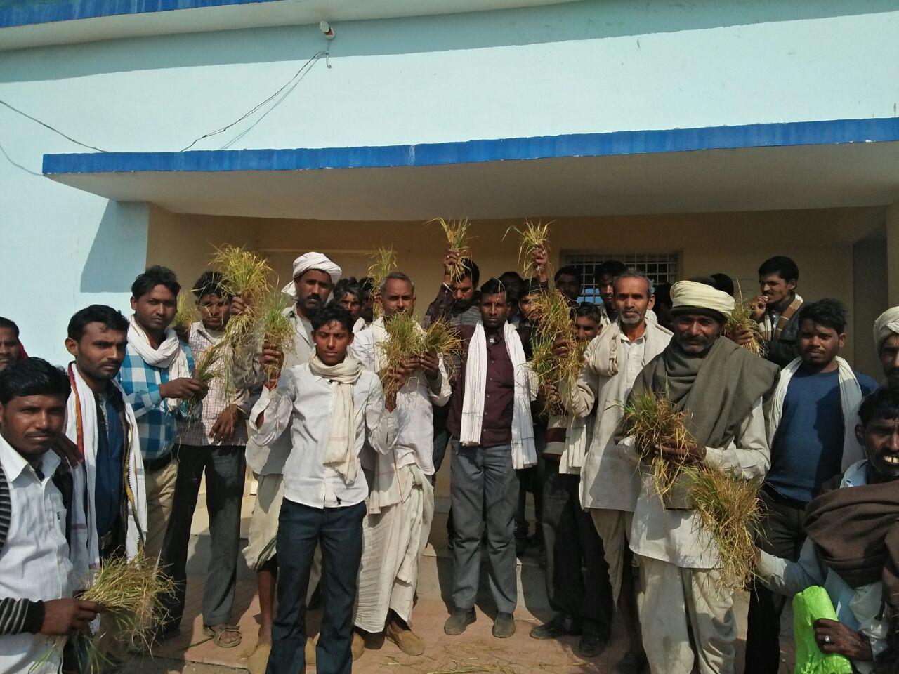 farmer protest, electricity, no electricity in village,sheopur news, sheopur news in hindi, mp news