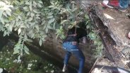 body found