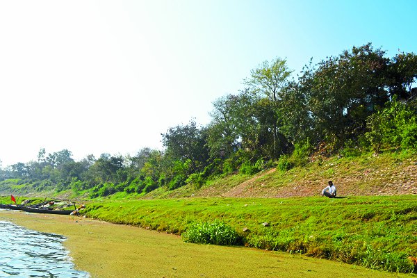 Narmada River Latest News in Hindi Narmada River
