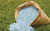 rabi crops supplements,Urea 