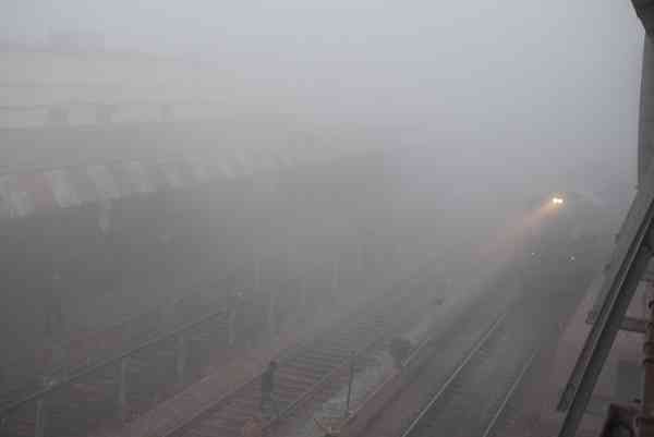 कोहरे की चादर में लिपटी आई सुबह देखे इन तस्वीरो में