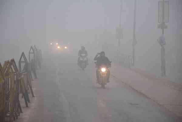 कोहरे की चादर में लिपटी आई सुबह देखे इन तस्वीरो में