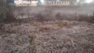 The cold freezing snow falling in the city of the state