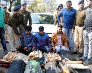 Chandan smugglers