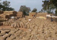 No payment for farmers selling paddy Paddy