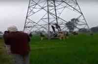  rape accused suicide