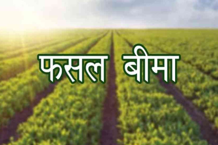 government spent crores of rupees for crop insurance, but farmer get 0