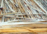 Panna cold wave in mp many districts in the grip of cold wave