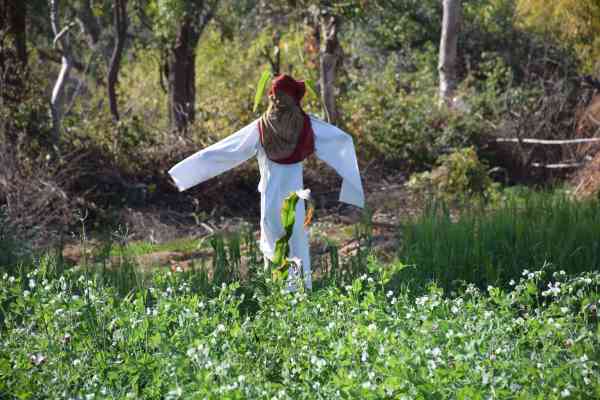 winter weather udaipur images