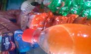 nagaur