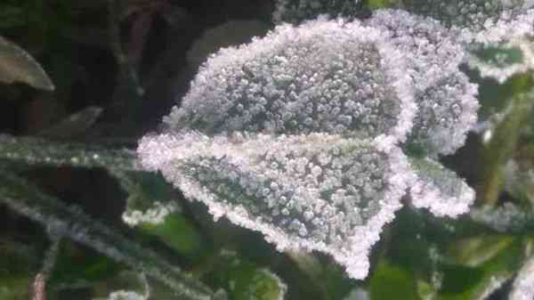 mainpat ambikapur chhattisgarh  मैनपाट 