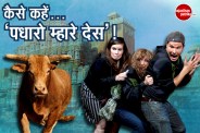 foreign tourists JIFF