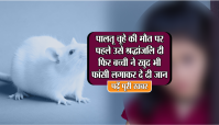 suicide of little girl for Rat
