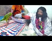 blackmail,Social site,physical abuse,social site facebook,physical relationship,porn video clip,udaipur hindi latest news,udaipur latest hindi news,