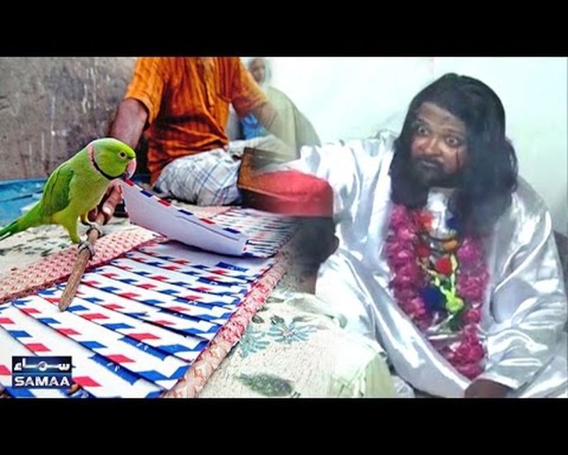 blackmail,Social site,physical abuse,social site facebook,physical relationship,porn video clip,udaipur hindi latest news,udaipur latest hindi news,