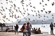 udaipur atmosphere temperature weather