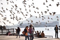 udaipur atmosphere temperature weather