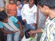 Goat theft in kota