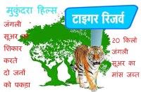 मुकुन्दरा हिल्स टाइगर रिजर्व