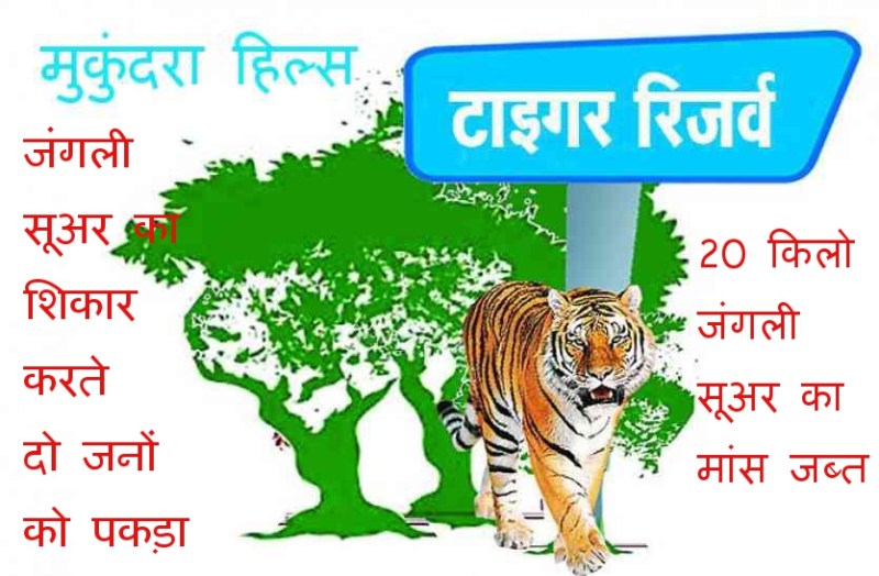 मुकुन्दरा हिल्स टाइगर रिजर्व