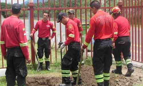 Carnage,Earthquake,Comrade,honours,exhaustion,Labrador,