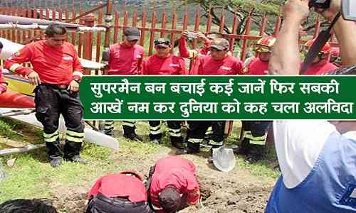 Carnage,Earthquake,Comrade,honours,exhaustion,Labrador,