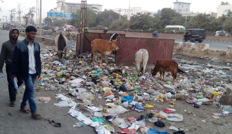 garbage-made-in-ramnivas-bagh