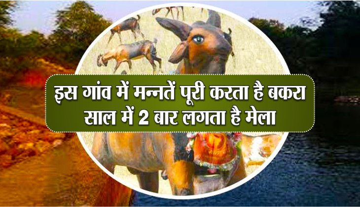 weird tradition in india worship goat temple