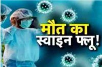 Swine flu in Rajasthan Death Toll from Swine flu in Jaipur