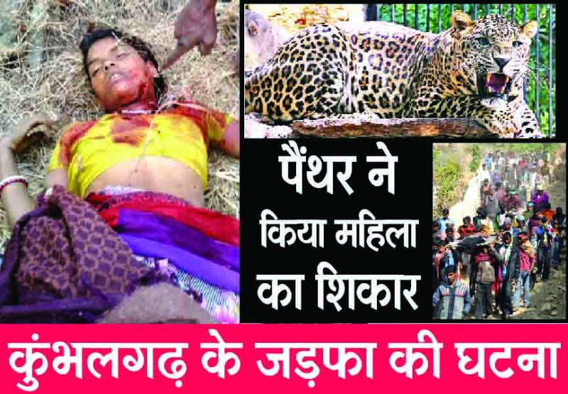 Rajsamand news,Rajsamand Hindi news,rajsamand news in hindi,rajsamand latest news rajsamand,Latest hindi news rajsamand,