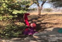  Suicide case in Jaipur Woman commit Suicide in Amer from Tree