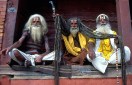 hindu naga sadhus