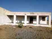 Jaisalmer patrika