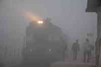 कोहरे की वो अनचाही तस्वीर, देखिइए किस तरह चादरो में लिपटा रहा विंध्य