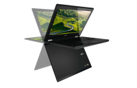 acer