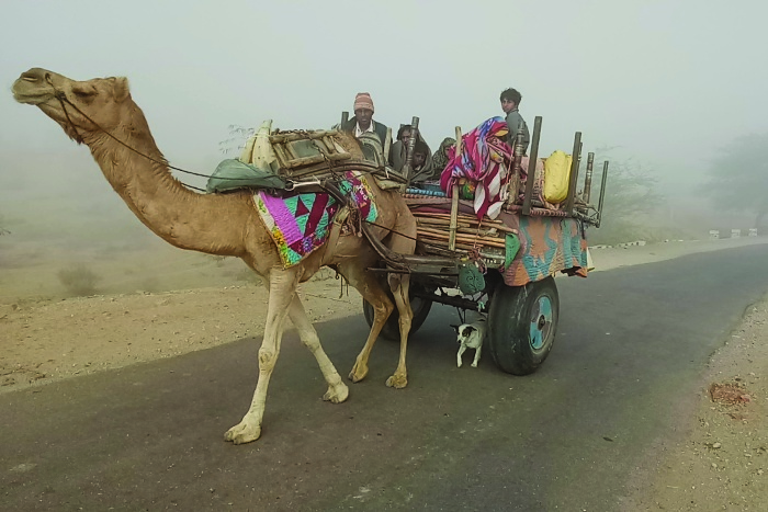 sriganganagar weather latest updates