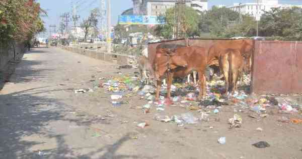 कोटा