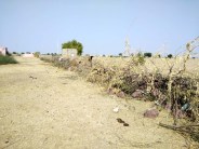 Jaisalmer patrika
