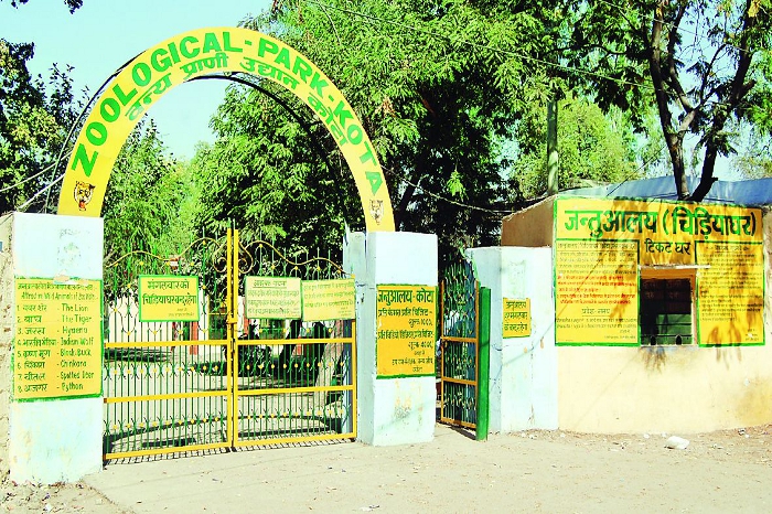 kota zoo
