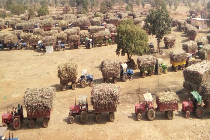 Danteshwari Co-operative Sugar Factory, Sugar factory, Government Sugar factory, Sugar factory of Karakbhut, Balod news