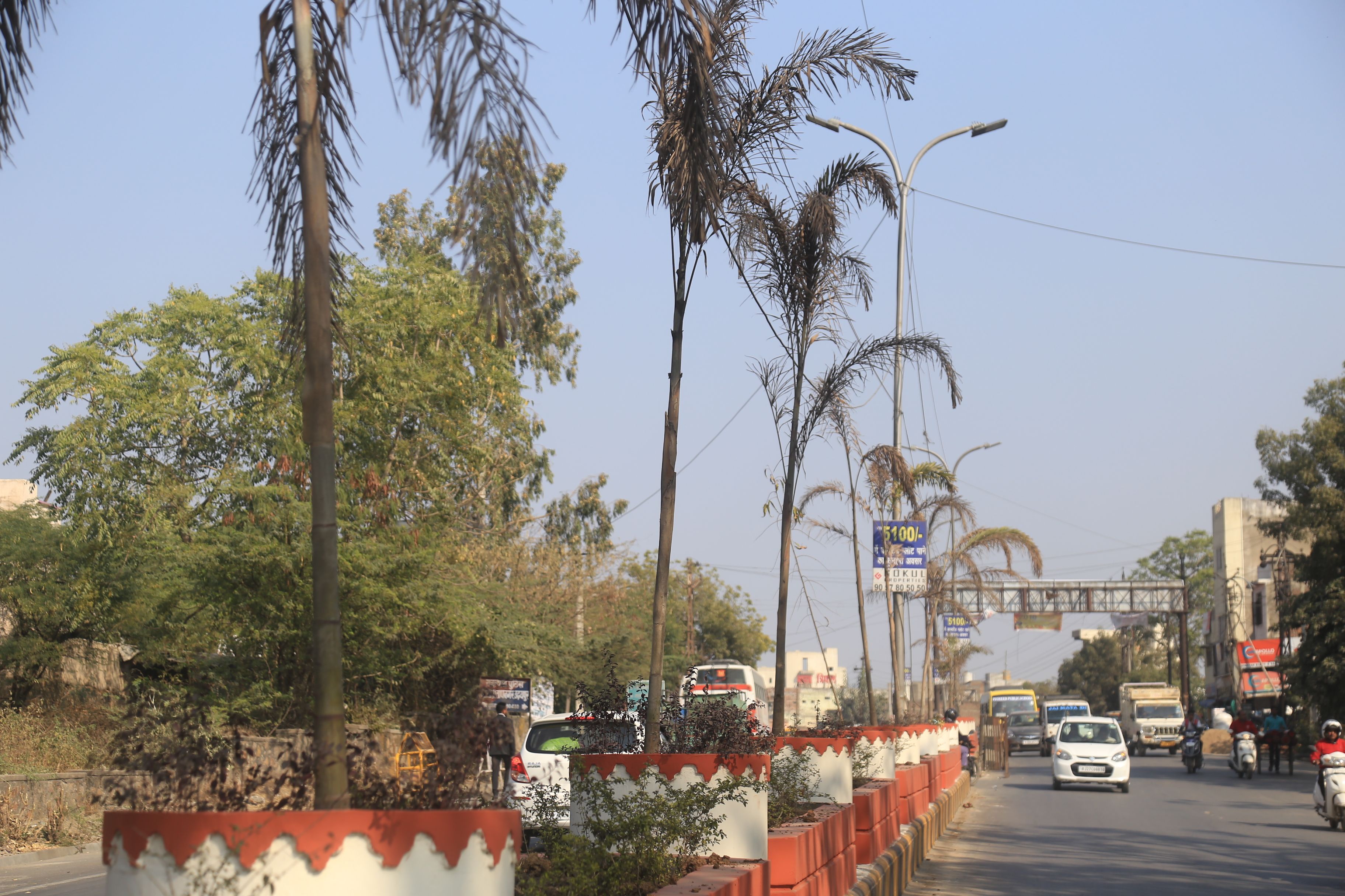 video : स्मार्ट सिटी उदयपुर में सूखने लगे ग्रीन पॉकेट, डिवाइडर पर लगाए गए पेड़ाेें की नहीं हो रही देखभाल