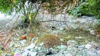 public throwing rubbish in empty plots in alwar