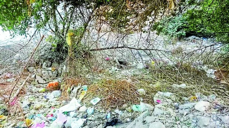 public throwing rubbish in empty plots in alwar