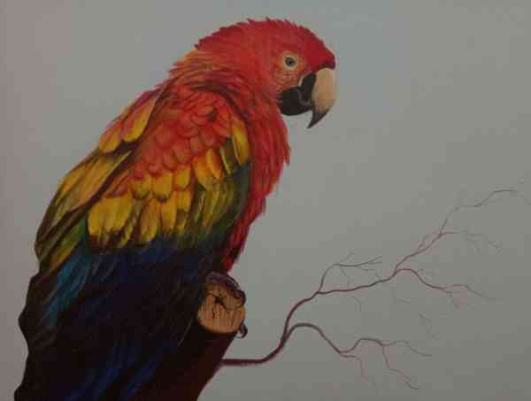 painting exhibition bagore ki haveli udaipur