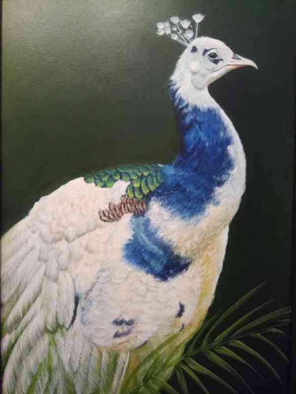 painting exhibition bagore ki haveli udaipur