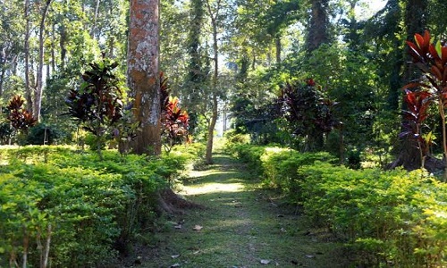 Botenical garden