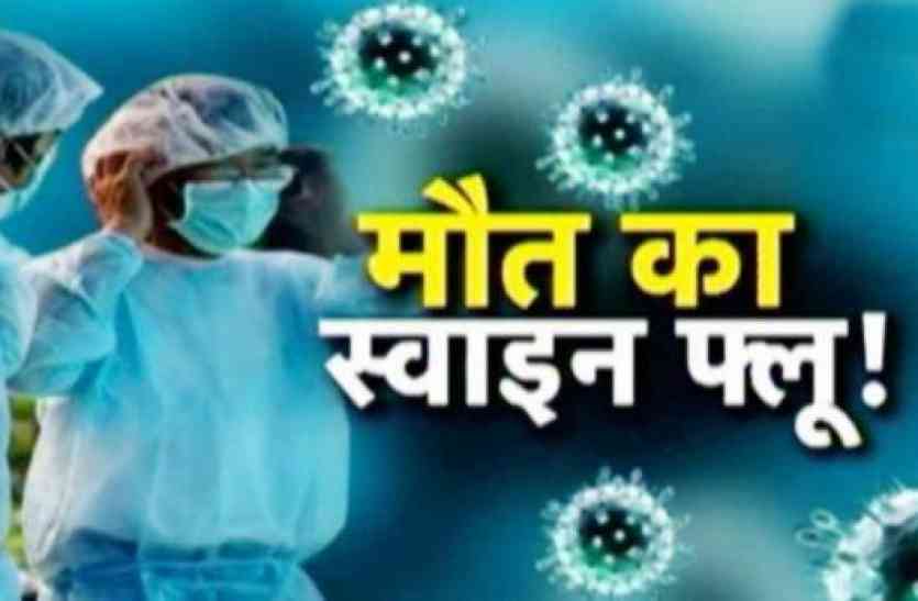 spreading swine flu in rajasthan