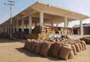 Jaisalmer patrika news